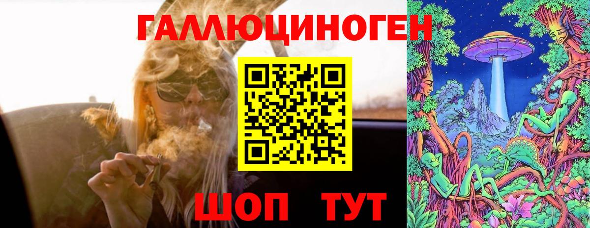 сколько стоит  Галлюциногенные грибы Psilocybe  Вход с VPN  Холмск 