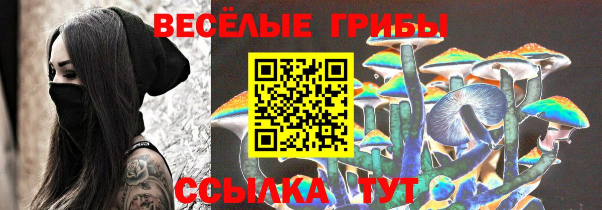 Псилоцибиновые грибы Cubensis Холмск